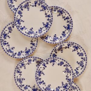 6 assiettes en terre de fer modèle Dresden