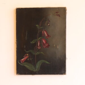 Huile sur toile botanique, datée 1840, signée Hyacinthe Hauzeur