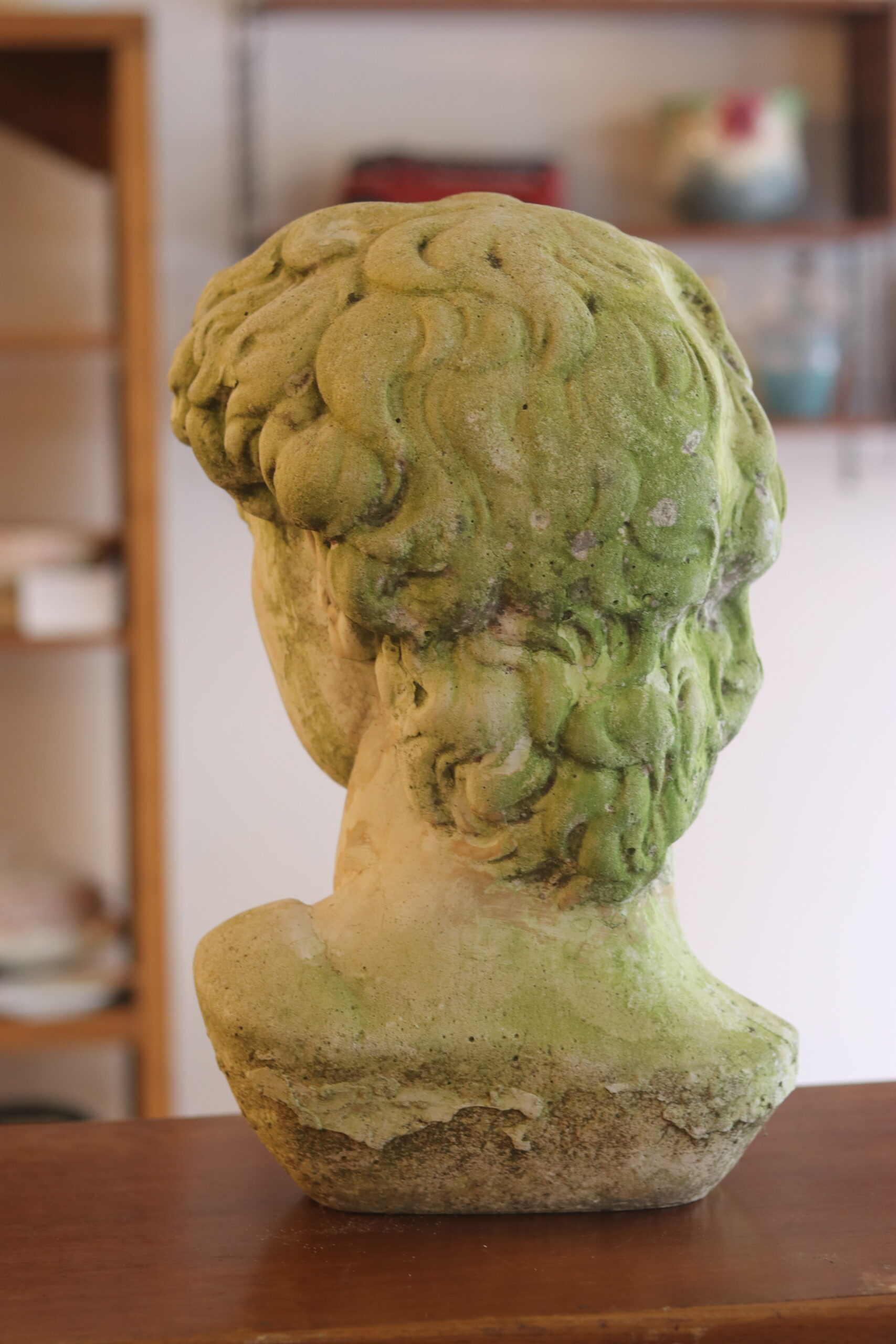 Buste de David en béton – milieu XXe siècle – Image 5