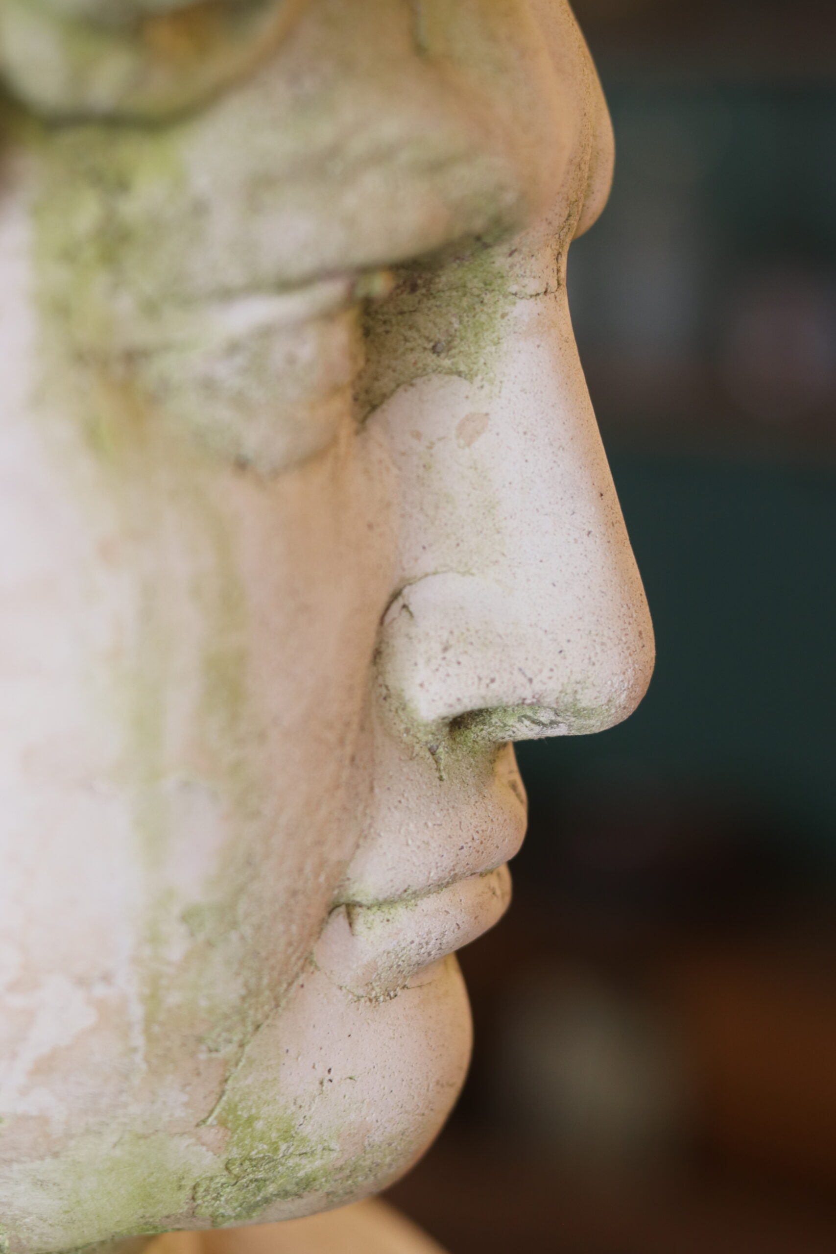 Buste de David en béton – milieu XXe siècle – Image 7